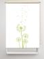 Preview: Rollo Dandelions Apfel , Rollo, Motivrollo, Rollo mit Druck, Fotorollo, bedrucktes Rollo, Fensterrollo,verdunkelndes Rollo, Sonnenschutz Rollo